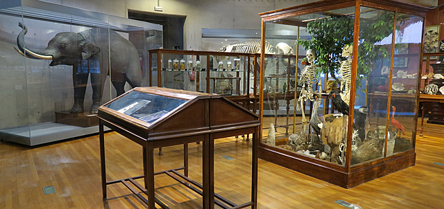 Museo de Ciencias Naturales y Escuela de Minerias