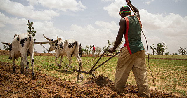 "Den grønne revolusjonen"