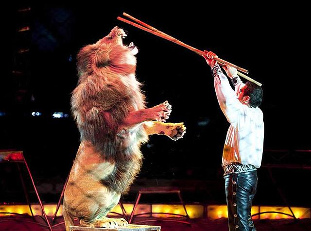 Circus krone, Alemania