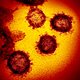 Coronavirus under microscope