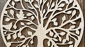 Timeline: línia de la vida