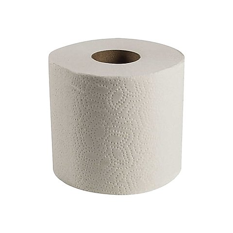 The toilet paper roll was invented.