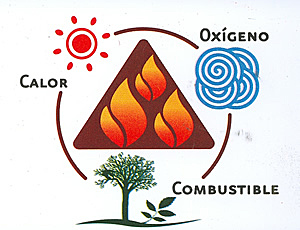 Se reconoce la importancia del oxigeno en el proceso de la combustion
