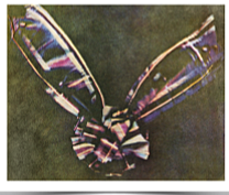 Première photo couleur avec le système de couleurs RVB par Thomas Sutton