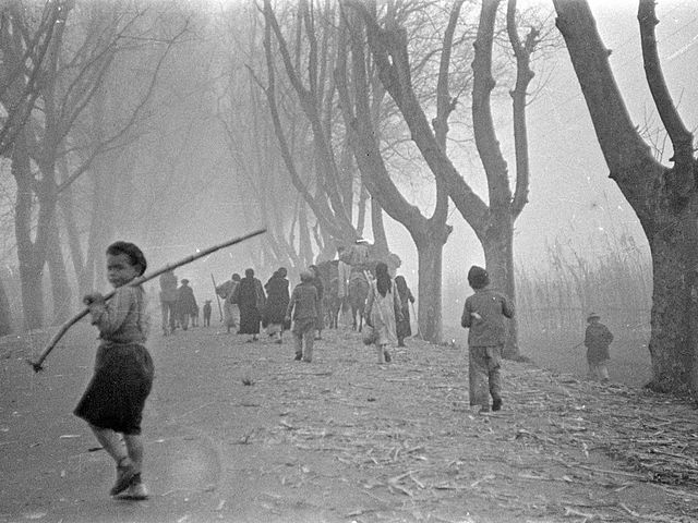 Málaga cae en poder de los franquistas, auxiliados por tropas italianas. La inmediata represión se cobra miles de muertos.