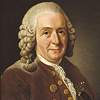 Carolus Linnaeus