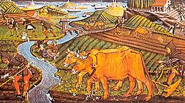 Timeline: ALTA EDAD MEDIA