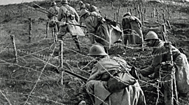 Timeline: Eix cronològic