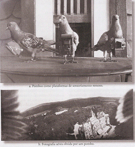 Uso de pombos em registros aéreos