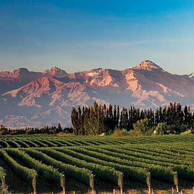 Timeline: Mendoza, Tierra del sol y del buen vino…