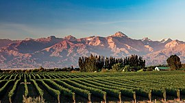Timeline: Mendoza, Tierra del sol y del buen vino…