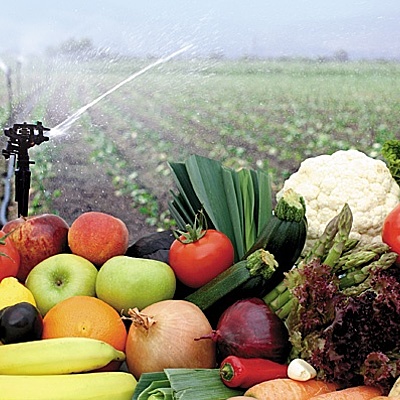 Timeline: Historia sobre el origen hasta la actualidad de los  avances y equipos utilizados en la pre cosecha y post cosecha de frutas y hortalizas