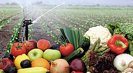 Timeline: Historia sobre el origen hasta la actualidad de los  avances y equipos utilizados en la pre cosecha y post cosecha de frutas y hortalizas