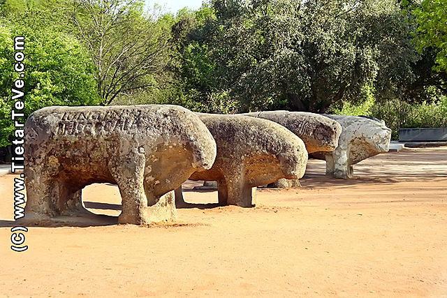 LOS CELTAS EN LA PENÍNSULA IBÉRICA