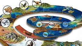Timeline: Escala del tiempo geologico