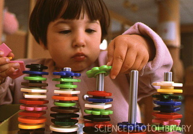 31-36 Months (cognitive)