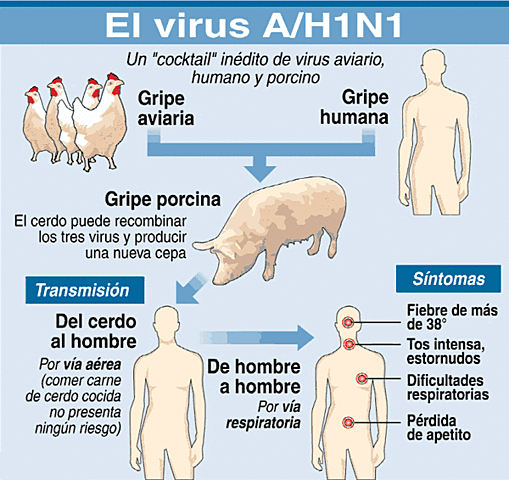 Gripe A H1N1