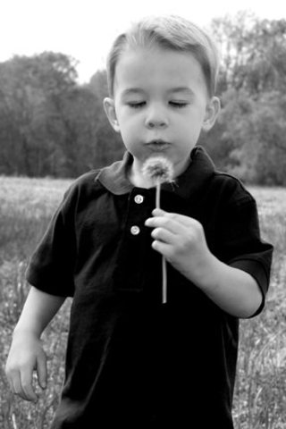 25-30 months cognitive