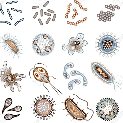 Timeline: Historia de la parasitología