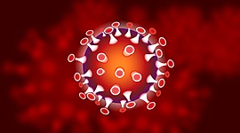 Timeline: Pandemias del siglo