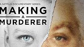Timeline: Making a Murderer Part 2