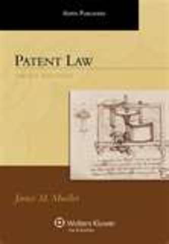 The first patent law was passed