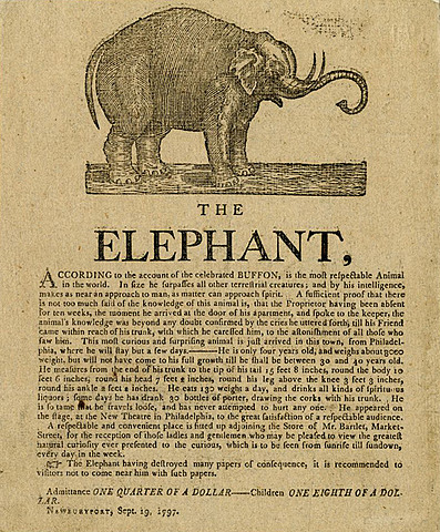Elefante de gira
