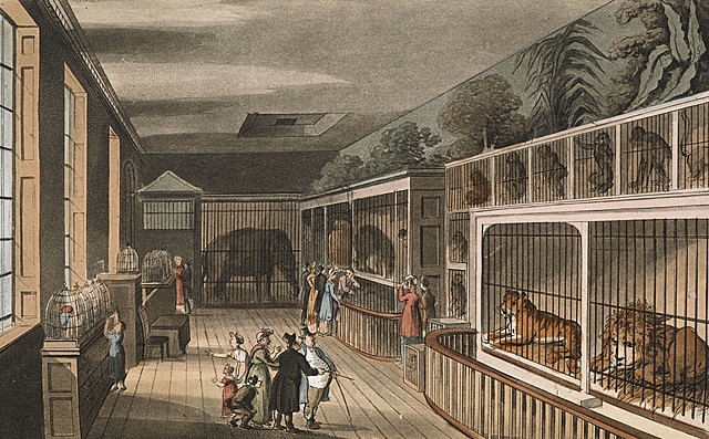 Animales Exóticos: nuevo giro en el Circo