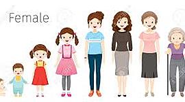 Timeline: 3 examples of Erikson Stages of Psychosocial Development