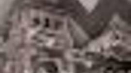 Timeline: samf fag tidslinje