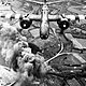 A 20 normandy jun6 44