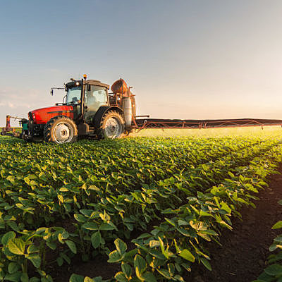 Timeline: Agricultura