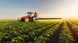 Timeline: Agricultura