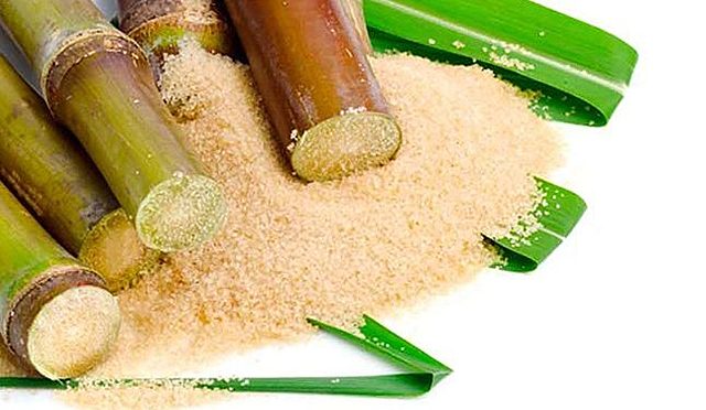 Domestican la caña de azucar y verduras de raiz