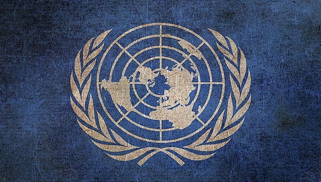 Ingreso de la ONU