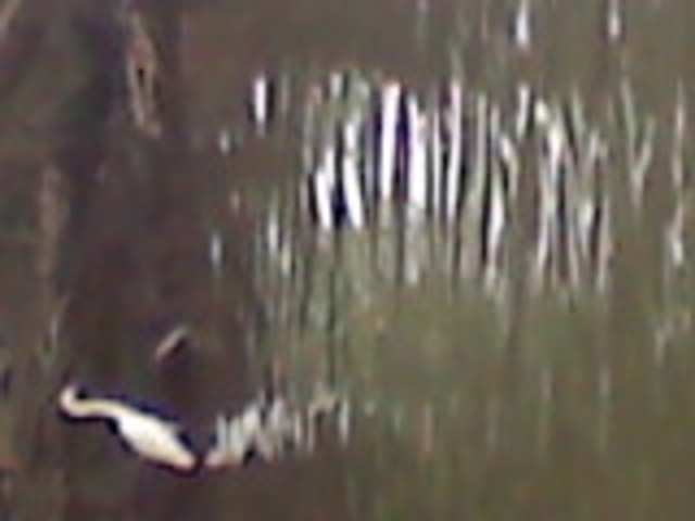 vacation with my familia DIBULLA(guajira)