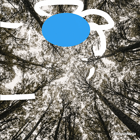 ტრენინგის მეორე დღე