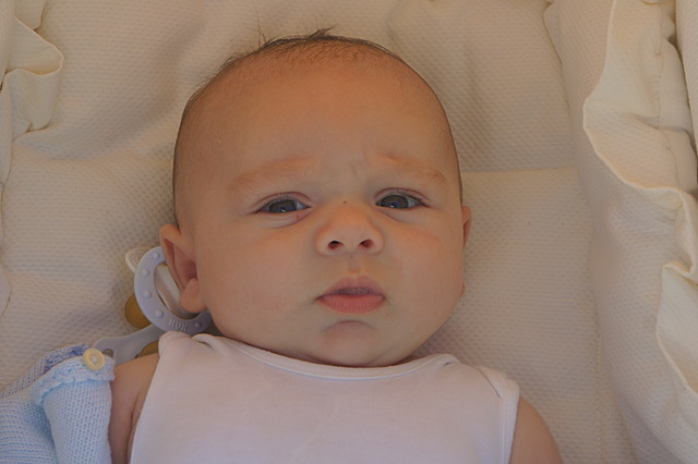 Nire neba jaio egiten da