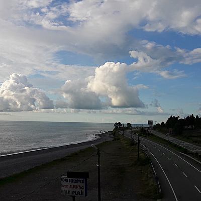 Timeline: პროექტის გეგმა