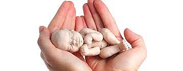 Humanae vitae / Papa Pablo VI