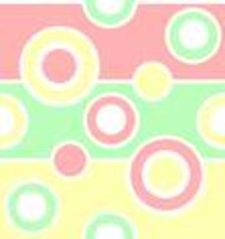 Chosen as TAP Master Teacher at Woodland Park