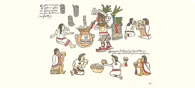 8 códices en los que se hace mención del pulque.