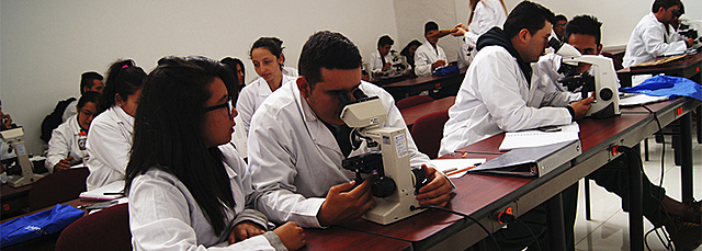 grupo de investigacion en ingenieria civil y fenomenos ambientales