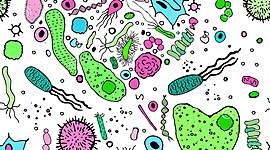 Timeline: Historia de la Microbiología y la Taxonomía