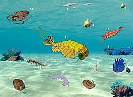 PERÍODO ORDOVÍCICO