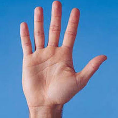 Timeline: BASES DE LA BIOÉTICA MODERNA