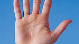 Timeline: BASES DE LA BIOÉTICA MODERNA