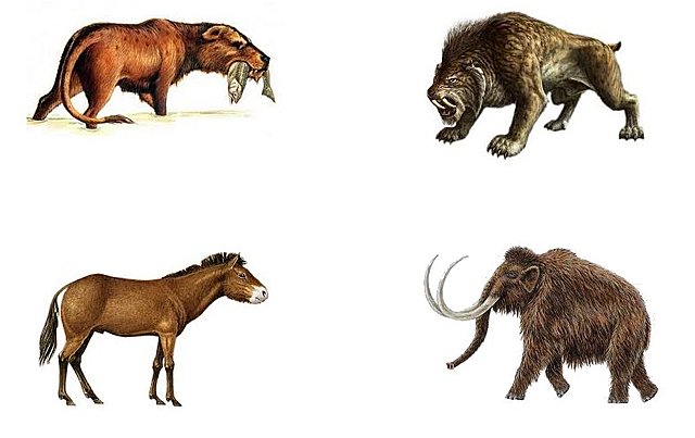 ERA CENOZOICA. PERÍODO TERCIARIO