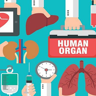 Timeline: Los trasplantes y su historia.