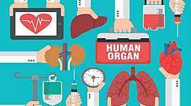 Timeline: Los trasplantes y su historia.